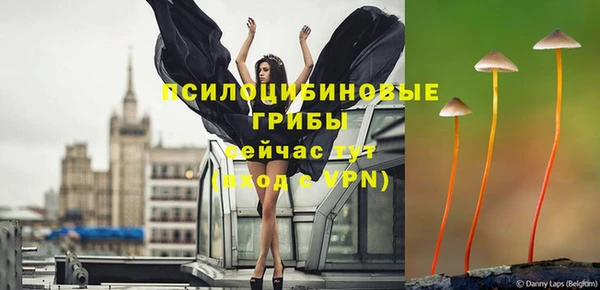 винт Арсеньев