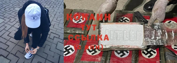 винт Арсеньев