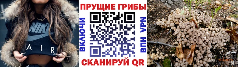 Псилоцибиновые грибы мухоморы  Беслан 